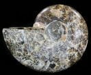 Agatized Ammonite Fossil (Half) #38764-1